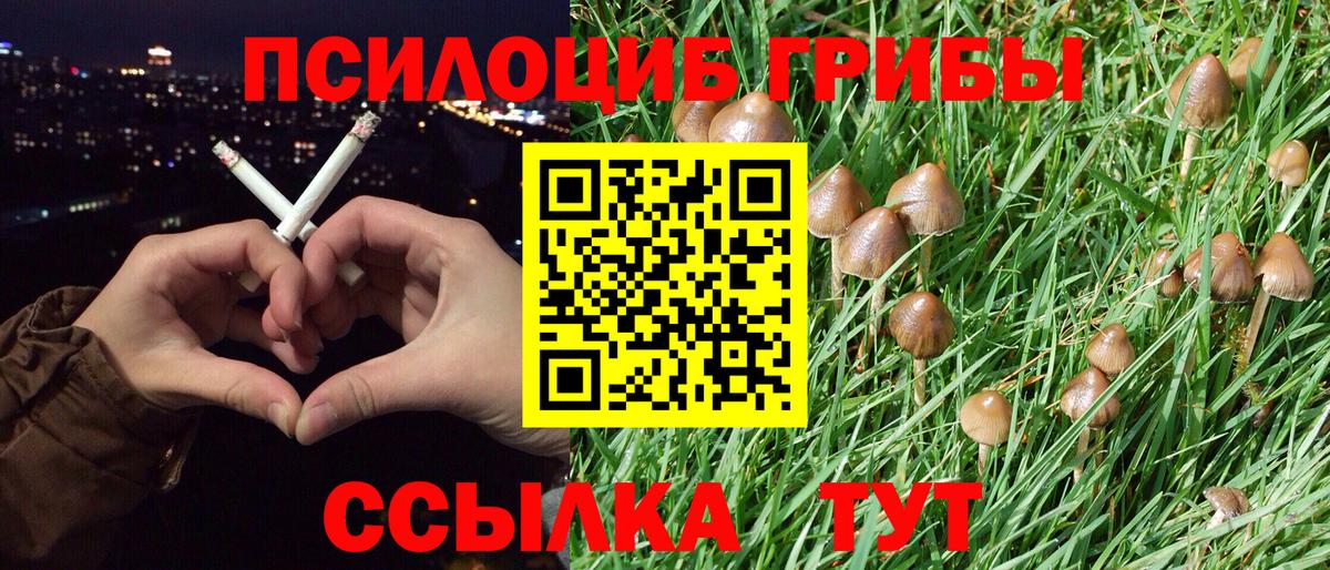 Псилоцибиновые грибы MAGIC MUSHROOMS Родники